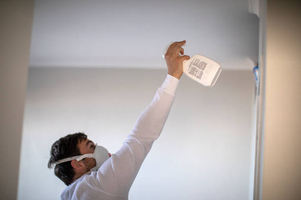 Best Kitchen Mold Remediation in Locust Fork, AL