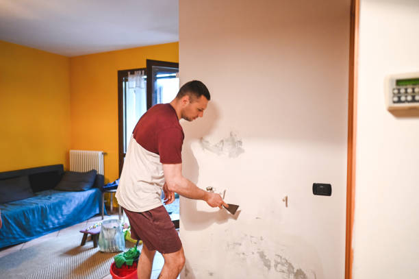 Best Health and Safety Mold Remediation in Locust Fork, AL